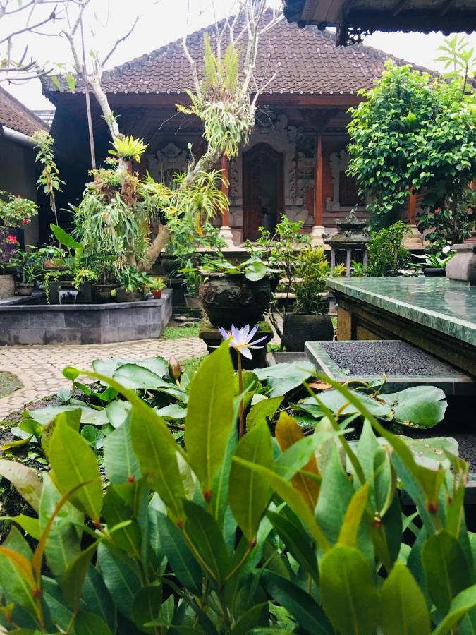 Wina Ubud B&B Esterno foto